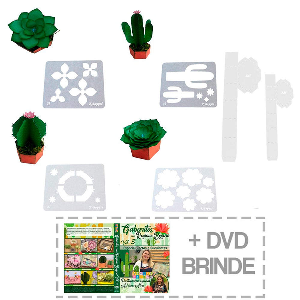 Kit Réguas Cactos & Suculentas Regiane Boppré + DVD - African Artesanato